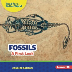 Fossils