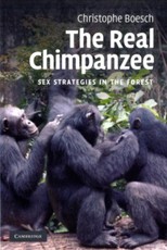 Real Chimpanzee