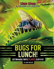 Bugs for Lunch!