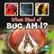 What Kind of Bug Am I?