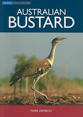 Australian Bustard
