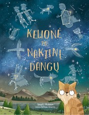Kelionė po naktinį dangų