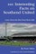 101 Interesting Facts on Southend United