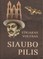 Siaubo pilis