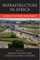 Infrastructure in Africa