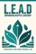 Lead