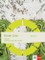 Green Line Oberstufe. Update 2022 (Paket mit 10 Heften) Klasse 11//12 (G8), Klasse 12/13 (G9)