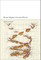 Kazuo Ishiguro's Gestural Poetics
