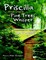 Priscilla from Where the Pine Trees Whisper: The Adventures of a Young Child