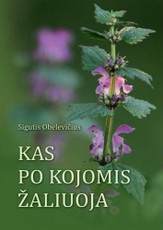 Kas po kojomis žaliuoja