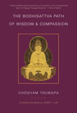 The Bodhisattva Path of Wisdom and Compassion (volume 2)