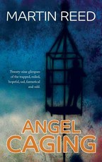 Angel Caging