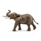 SCHLEICH WILD LIFE Afrikinio dramblio patinas