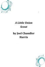 A Little Union Scout