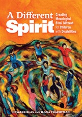 A Different Spirit: The Essential Guide to Creating Meaningful B'Nai Mitzvah for Children with Disabilities