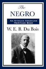 The Negro