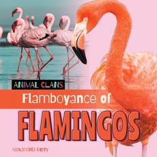 Flamboyance of Flamingos