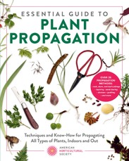 Essential Guide to Plant Propagation