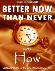 Better Now Than Never: Book 3 How