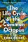 Knight, E: Life Cycle of the Common Octopus