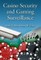Casino Security and Gaming Surveillance