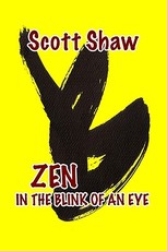 Zen in the Blink of an Eye