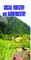 A Textbook on Social Forestry and Agroforestry
