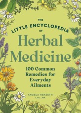Common Herbal Remedies for Everyday Ailments