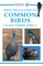 First Field Guide to Common Birds of Southern Africa