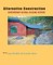 Alternative Construction P