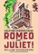 Help Me Understand Romeo and Juliet!