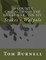 26 County Casualties of the Great War Volume XIV