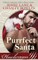 Purrfect Santa