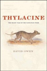Thylacine