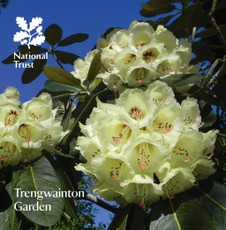 Trengwainton Garden
