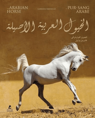 The Arabian Horse
