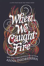 Godbersen, A: When We Caught Fire