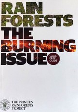 Rain Forests. The Burning Issue