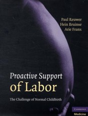 Proactive Support of Labor