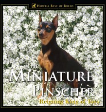 Miniature Pinscher