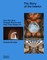 The Story of the Interior