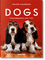 Walter Chandoha. Dogs. Photographs 1941–1991
