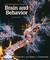 Kolb, B: Introduction to Brain and Behavior (Int. Ed.)