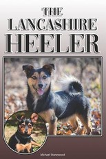 The Lancashire Heeler