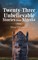 Ogiamien, E: Twenty-Three Unbelievable Stories from Nigeria