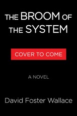 The Broom of the System