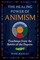 The Healing Power of Animism