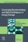 Converging Nanotechnology and Digital Intelligence in Energy Storage
