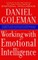 Working With Emotional Intelligence