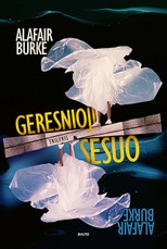 GERESNIOJI SESUO. Dvi seserys ir nužudytas vyras, kurį abi mylėjo. Psichologiškai įtaigi drama apie tai, kas gali slėptis už tobulos šeimos fasado